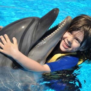 Dolphin & Seals Show in Cairo