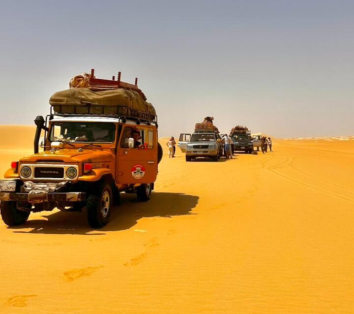 Camel Riding & Horse Riding + Quad Bike Tour Around the Pyramids