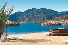 Red Sea Day Tour (Ain Sokhna)