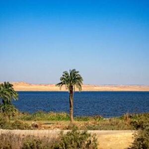 Al Fayoum Oasis