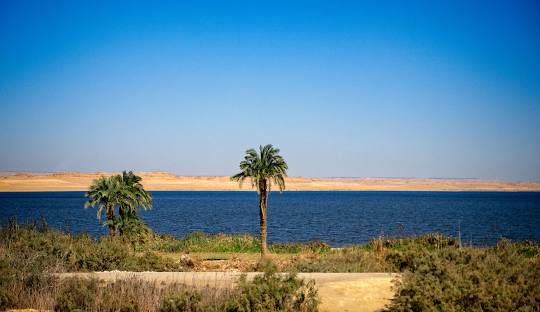 Al Fayoum Oasis